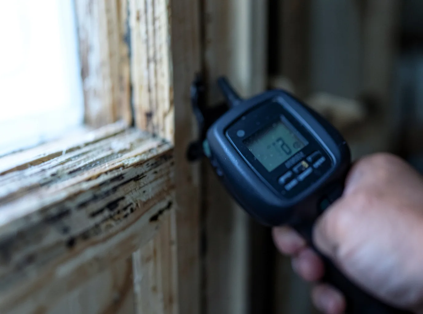 Moisture Inspection And Documentation in Clinton, IL
